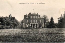 86. Pleumartin. Le Chateau - Pleumartin