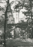 Foto-AK WITTENBERG (Lutherstadt) - Wittenberg