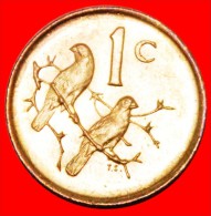 * CAPE SPARROWS (1970-1989): SOUTH AFRICA  1 CENT 1989 UNC!  LOW START NO RESERVE! - Südafrika