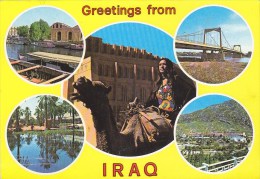 Iraq - Greetings From Iraq - Iraq