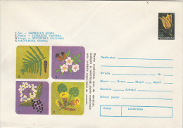 MEDICINAL PLANTS, ELDER, COLTSFOOT, FERN, ROSEHIP, COVER STATIONERY, ENTIER POSTAL, 1974, ROMANIA - Geneeskrachtige Planten