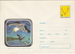 BIRDS, PELICANS, HERONS, DANIBE DELTA BIRDS, DEER TROPHY,  COVER STATIONERY, ENTIER POSTAL, 1971, ROMANIA - Pelikanen