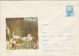 BIRDS, PELICANS,  COVER STATIONERY, ENTIER POSTAL, 1971, ROMANIA - Pélicans