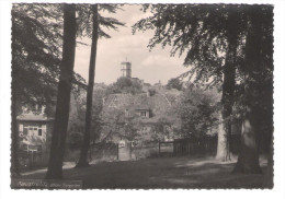 Deutschland - Neustrelitz - Blick Vom Tiergarten - Photohaus Schneider - Neustrelitz