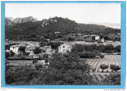 La ROQUEBRUSSANNE-vue D'ensemble Des Champs -édition Caujollle-années 40-50 - La Roquebrussanne