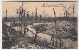 Ruines Des Environs De Kemmel, 1914-18 Ruines Du Château (pk22802) - Heuvelland