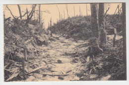 Ruines Des Environs De Kemmel, 1914-18 Chemin Creux (pk22805) - Heuvelland