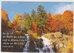 Beinwill Am See - Schweiz - Verlag Hans Rudolf Hintermann - Beinwil Am See