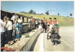 82--MONCLAR DE QUERCY--( Un Train Pas Comme Les Autres )--les Cosaques---voir 2 Scans - Montclar De Quercy