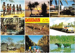 Darwin Multiview, Northern Territory - Nucolorvue NCV 2794 Unused - Darwin