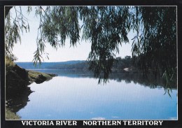 Victoria River, Northern Territory - NT Souvenirs NTS 180 Unused - Unclassified