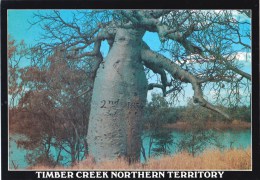 Boab Tree, Timber Creek, Northern Territory - NT Souvenirs NTS 179 Unused - Unclassified
