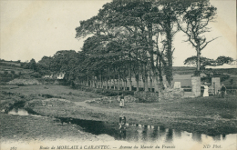 Delcampe - 29  MORLAIX / Avenue Du Manoir Du Fransic / - Morlaix