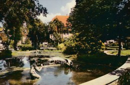 AK Bad Sachsa  - Schmerlbrunnen  Karte Gel. 1974 - Bad Sachsa