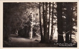 Indian Totem Pole In The Park Sitka Alaska Real Photo - Sitka