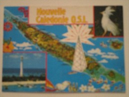 Carte Radio-Amateur Q.S.L. - Neukaledonien