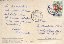 Romania - Postcard Circulated In 1965 With Stamp Flowers Fuchsia Gracilis - 2/scans - Briefe U. Dokumente