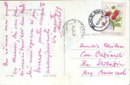 Romania - Postcard Circulated In 1965 With Stamp Berries Rubus Idaeus  - 2/scans - Briefe U. Dokumente