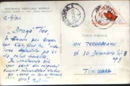 Romania - Postcard Circulated In 1964  With Stamp Butterfly  - 2/scans - Briefe U. Dokumente