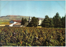 Carte Postale 69. Julienas En Beaujolais  La Coopérative Et Le Chateau  Trés Beau Plan - Julienas