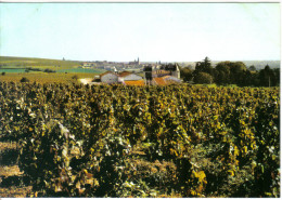 Carte Postale 69. Julienas En Beaujolais  La Coopérative Et Le Chateau  Trés Beau Plan - Julienas