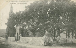29 PLOMODIERN / L'Eglise Et L'Arc De Triomphe, Sainte-Marie-du-Menez-Hom / - Plomodiern