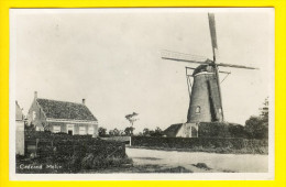 FOTOKAART : OUDE WINDMOLEN Te CADZAND - CARTE PHOTO I* Moulin à Vent Molen Mill Muhle Molino     O15 - Cadzand