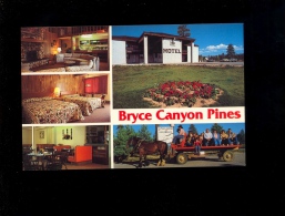 BRYCE CANYON PINES Motel And Restaurant Star Route 1 PANGUITCH Utah  84579 - Bryce Canyon