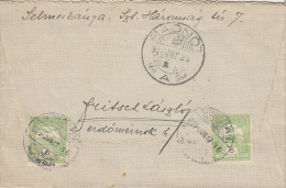 26896- BIRD, TOWN, STAMP ON COVER, 1916, HUNGARY - Briefe U. Dokumente