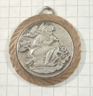 MEDAL PLAQUE 1970 - DWARF Mining And Thermal Power Plants KOSTOLAC (Serbia)/ Miner Mineur MEDAILLE - Camiones