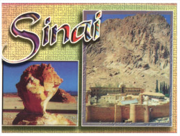 (249) Egypt - Sinai (Mosque) - Islam