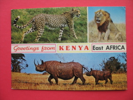 Wildlife KENYA - Rhinoceros
