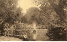 BOECHOUT-BOUCHOUT-INSTITUT SAINT GABRIEL-AU BORD DE L'ETANG - Böchout