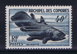 COMORES   Yv Nr 13 MH/* Avec Charniere - Unused Stamps