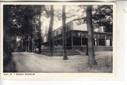 NL - GELDERLAND - RENKUM, Nol In T'bosch, 1953 - Renkum