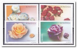 Roemenië 2004, Postfris MNH, Roses, Flowers - Neufs