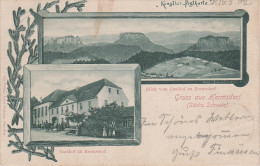 Litho AK Gasthof Hermsdorf Sächsische Schweiz Bei Rosenthal Bielatal Reichstein Raum Langenhennersdorf Bahra Königstein - Rosenthal-Bielatal