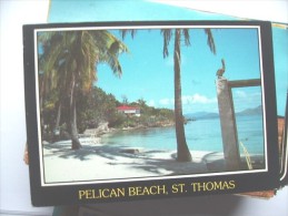 Virgin Islands St Thomas Pelican Beach - Jungferninseln, Amerik.