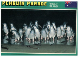 (PF 368) Australia - VIC - Phillip Island Penguins - Mornington Peninsula