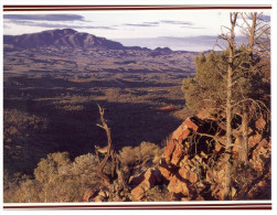 (PF 368) Australia - SA - Flinders Ranges Mt Mc Kinlay - Flinders Ranges