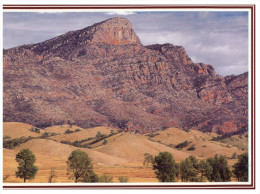 (PF 368) Australia - SA - Flinders Ranges Wilpena - Flinders Ranges