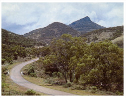 (PF 368) Australia - SA - Pichi Richi Pass - Flinders Ranges