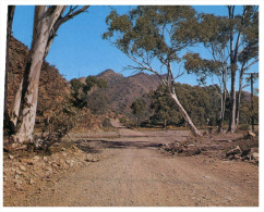 (PF 368) Australia - SA - Flinders Ranges Parachilna Gorge Road - Flinders Ranges