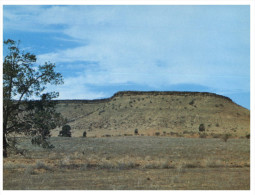 (PF 368) Australia - SA - Flinders Ranges Wall Of China - Flinders Ranges