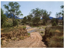 (PF 368) Australia - SA - Flinders Ranges Creek Crossing - Flinders Ranges