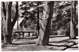 Oranjewoud - Park Met Bruggetje - Friesland / Holland - Heerenveen