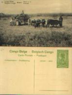 CONGO BELGE - CP N° 70 Neuve Avec Timbre Pré-imprimé (type COB N° 54) - Stamped Stationery