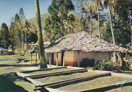 New Caledonia - Poyes Tribe - Coffee Drying - Nieuw-Caledonië