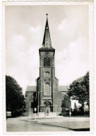 Zottegem Kerk; Center (pk21478) - Zottegem