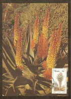 AFRIQUE SUD TRANSKEI Carte Maximum - Aloe Ferox - Transkei